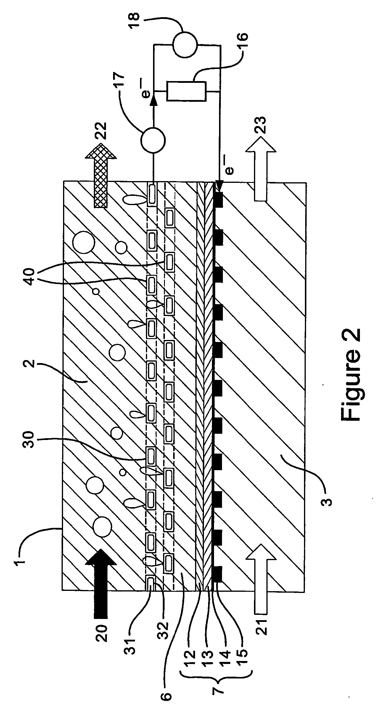 Fuel cell electrode