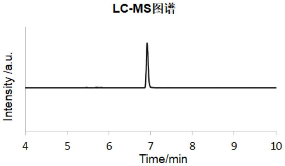 Positive plate and lithium ion battery