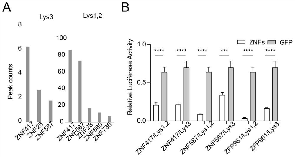 Method for inhibiting HIV virus replication by targeting reverse transcription primer binding site