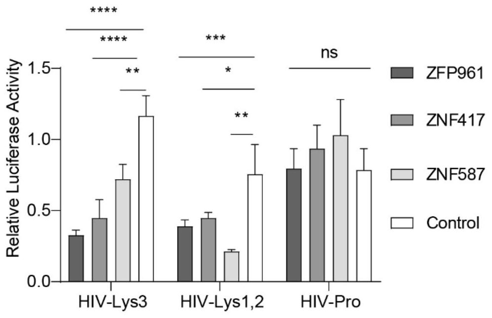 Method for inhibiting HIV virus replication by targeting reverse transcription primer binding site