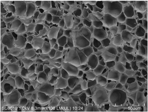 Thermoplastic polyurethane foam particles and preparation method thereof