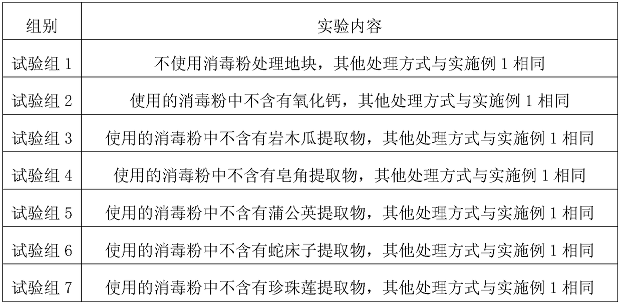 Method for interplanting Lingyun pekoe tea and Sichuan pawpaw