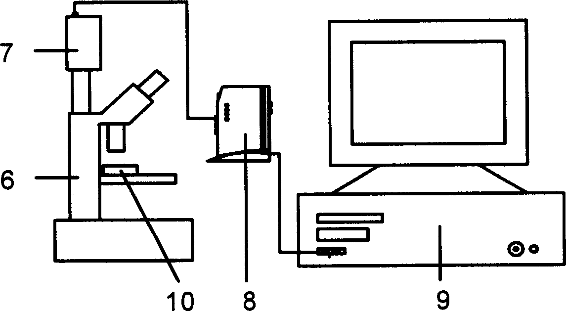 Microscopic electrochemical analyzer