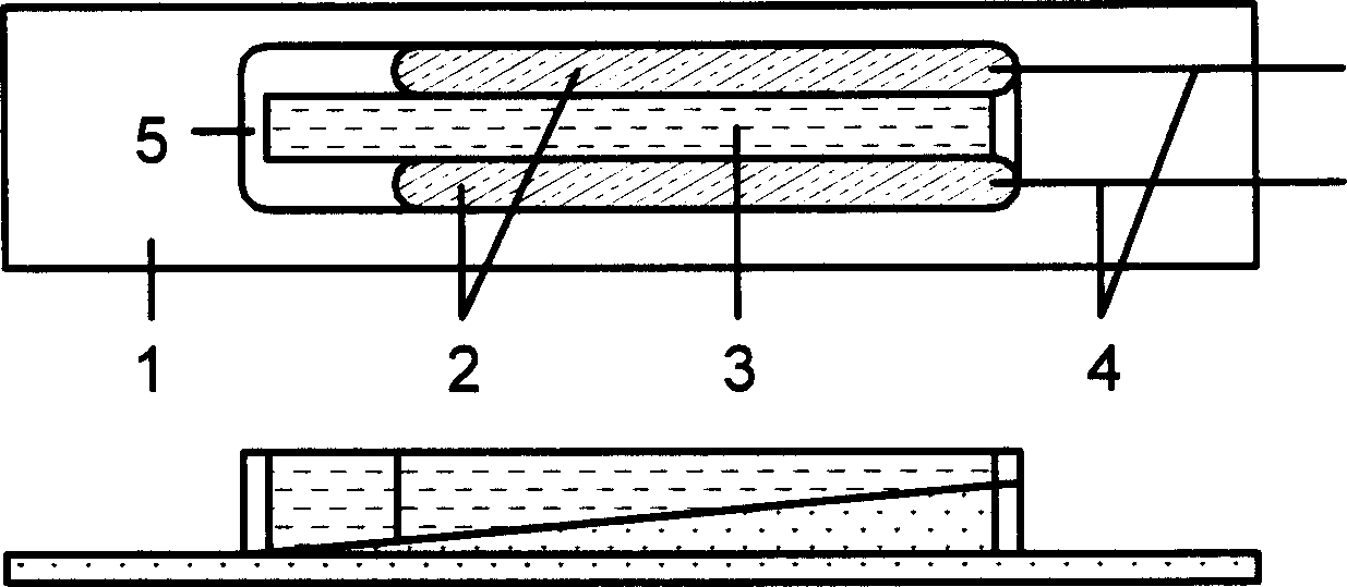 Microscopic electrochemical analyzer