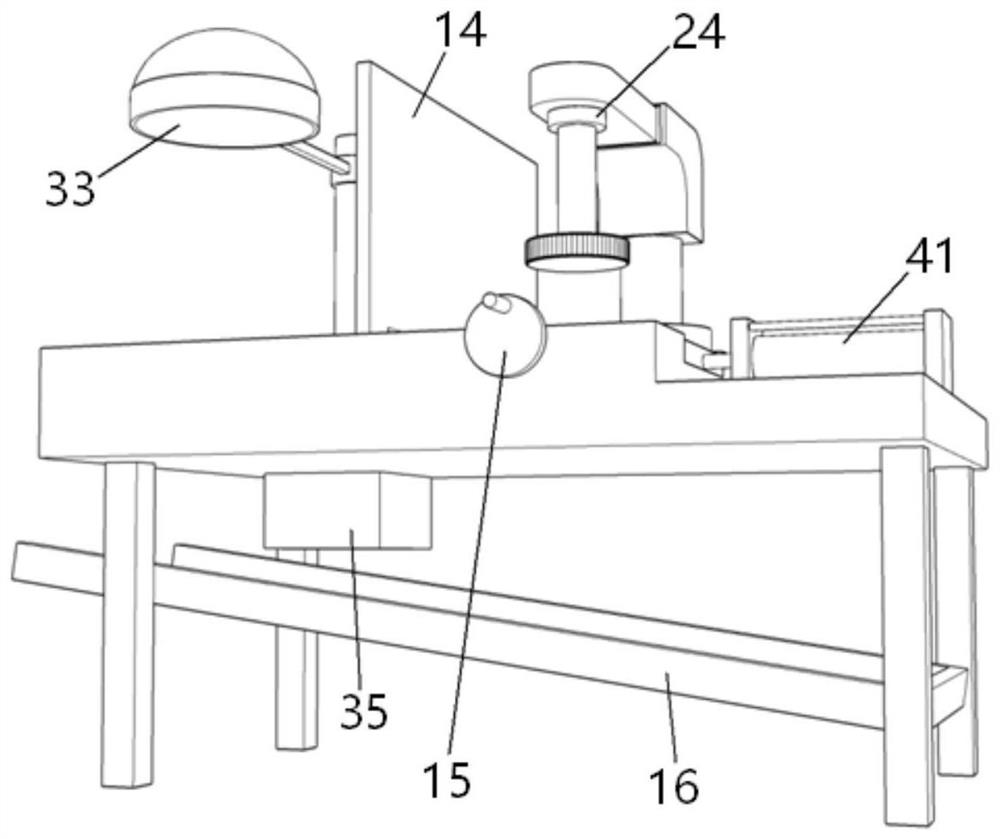 Disc polishing and detecting device with double sliding bases