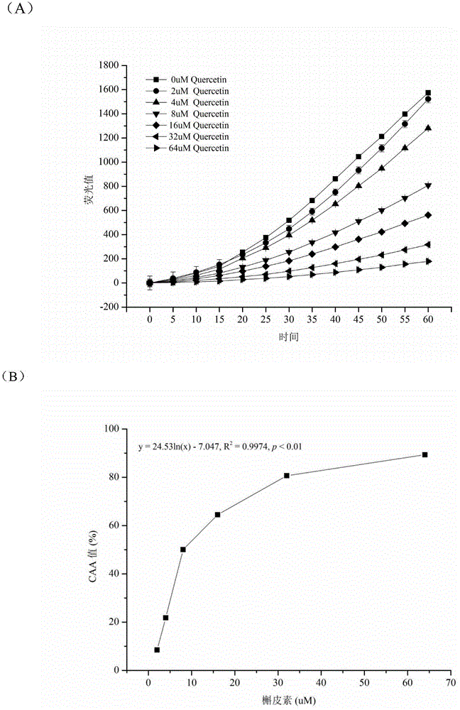 Method for measuring antioxidant activity of lactic acid bacteria based on cellular level