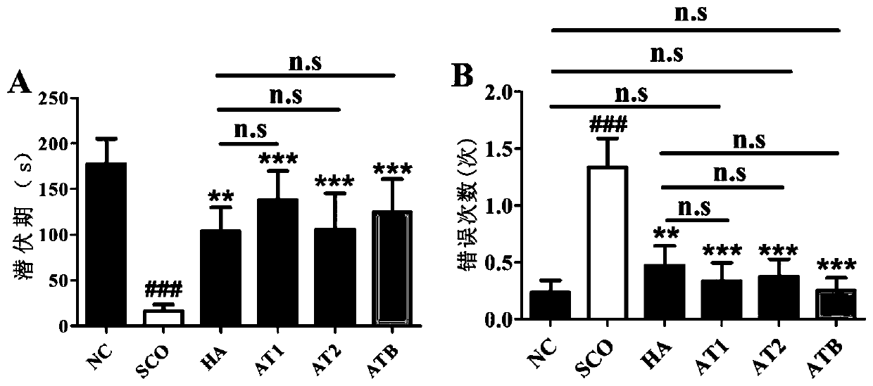 Acorus tatarinowii saccharide polymer as well as preparation method and application thereof