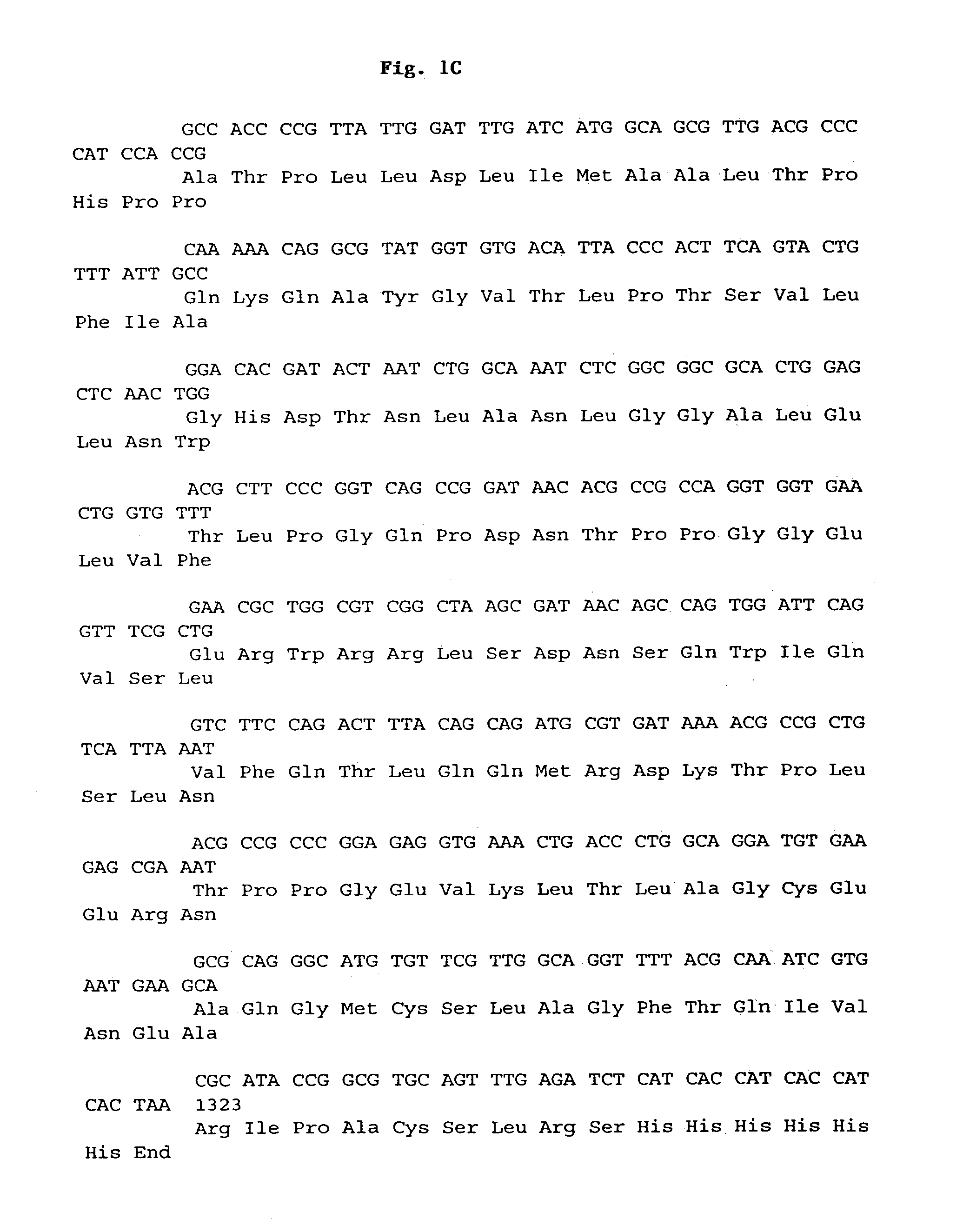 Phytase expression systems and methods of making and using them