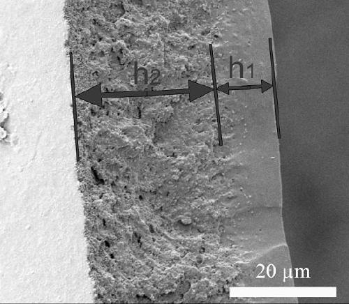 Controllable self-crimping polyurethane film as well as preparation and application thereof