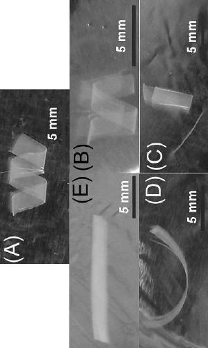 Controllable self-crimping polyurethane film as well as preparation and application thereof