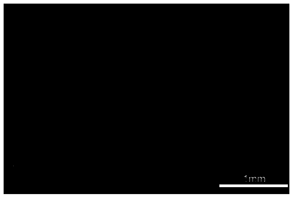 A Binderless Laser Selective Melting/Sintering Forming Method of Ceramic Slurry