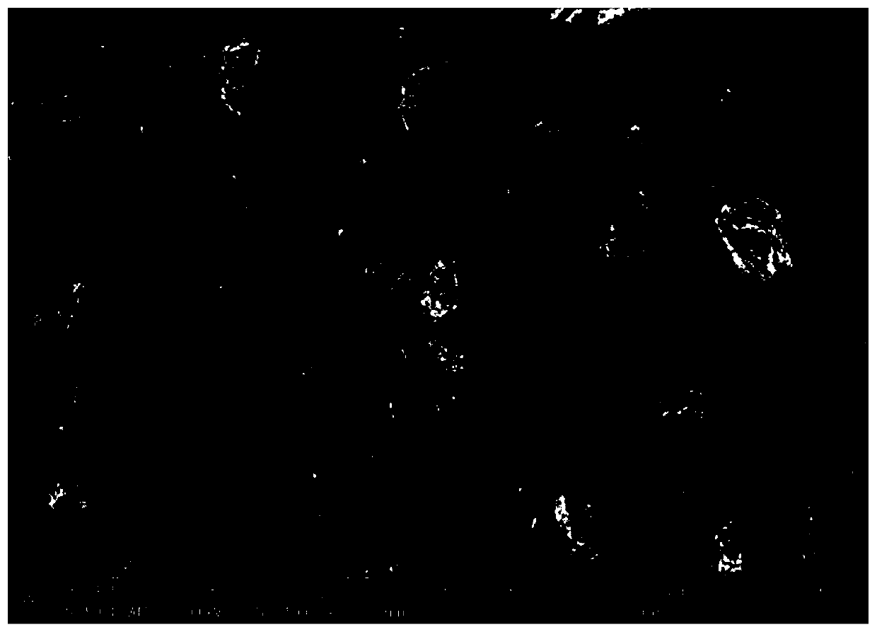 A silicon-carbon negative electrode material with core-shell structure and preparation method thereof