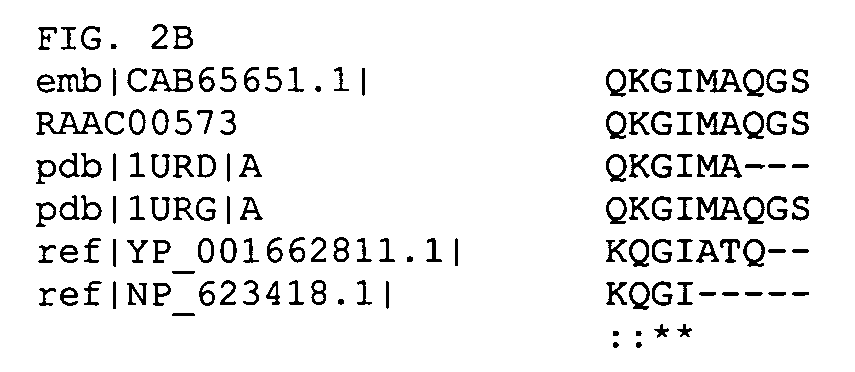 Thermophilic and thermoacidophilic sugar transporter genes and enzymes from alicyclobacillus acidocaldarius and related organisms, methods