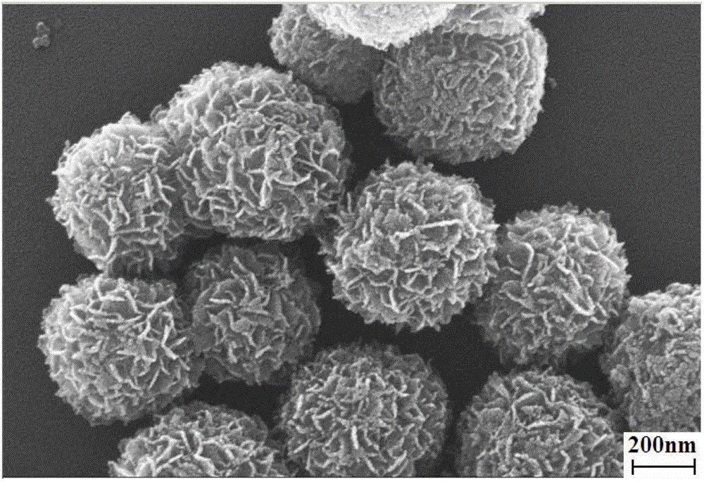 (001) surface exposure fe (ferrum) doping tio2 (titanium dioxide) multi-stage catalyst and preparation method of fe doping tio2 multi-stage catalyst