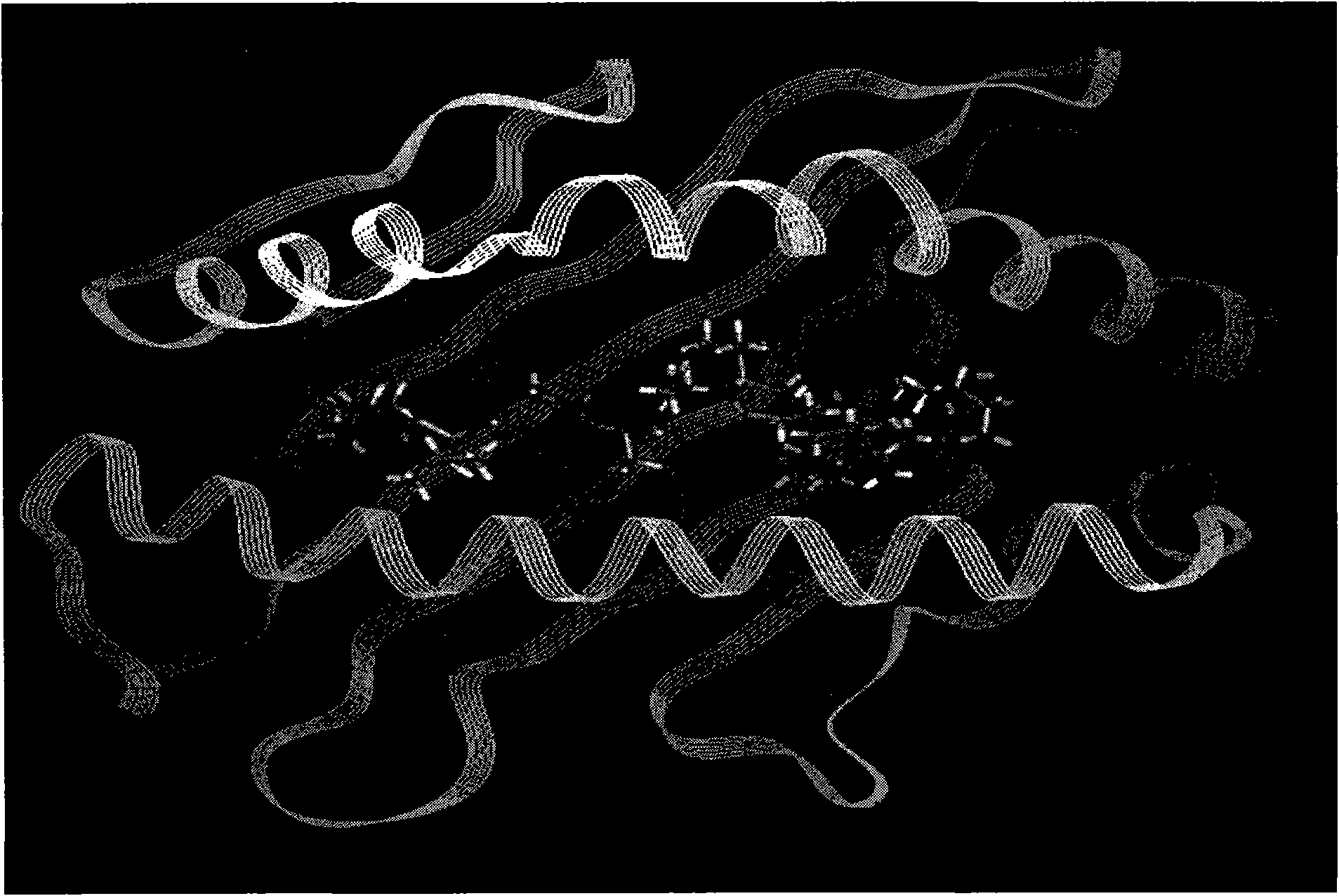 Tumor antigen TRAG-3 mimotope peptide and application thereof