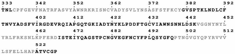 Tandem epitope polypeptide vaccine of novel coronavirus and application thereof