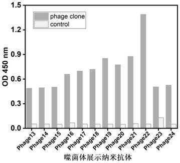 Nano antibody for broad-spectrum recognition of Salmonella, recombinant vector, host cell and application of nano antibody