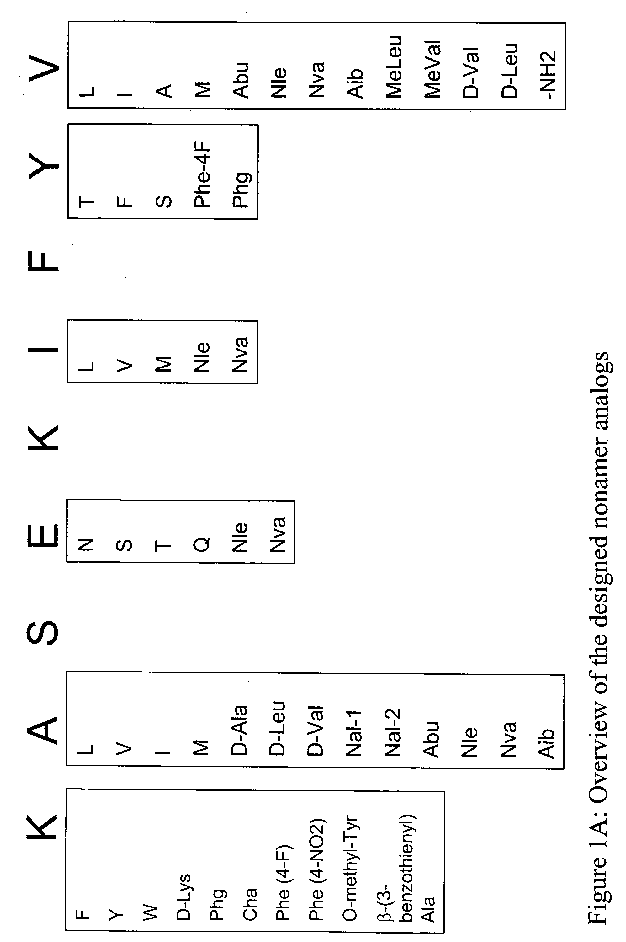 Melanoma antigen peptide analogues