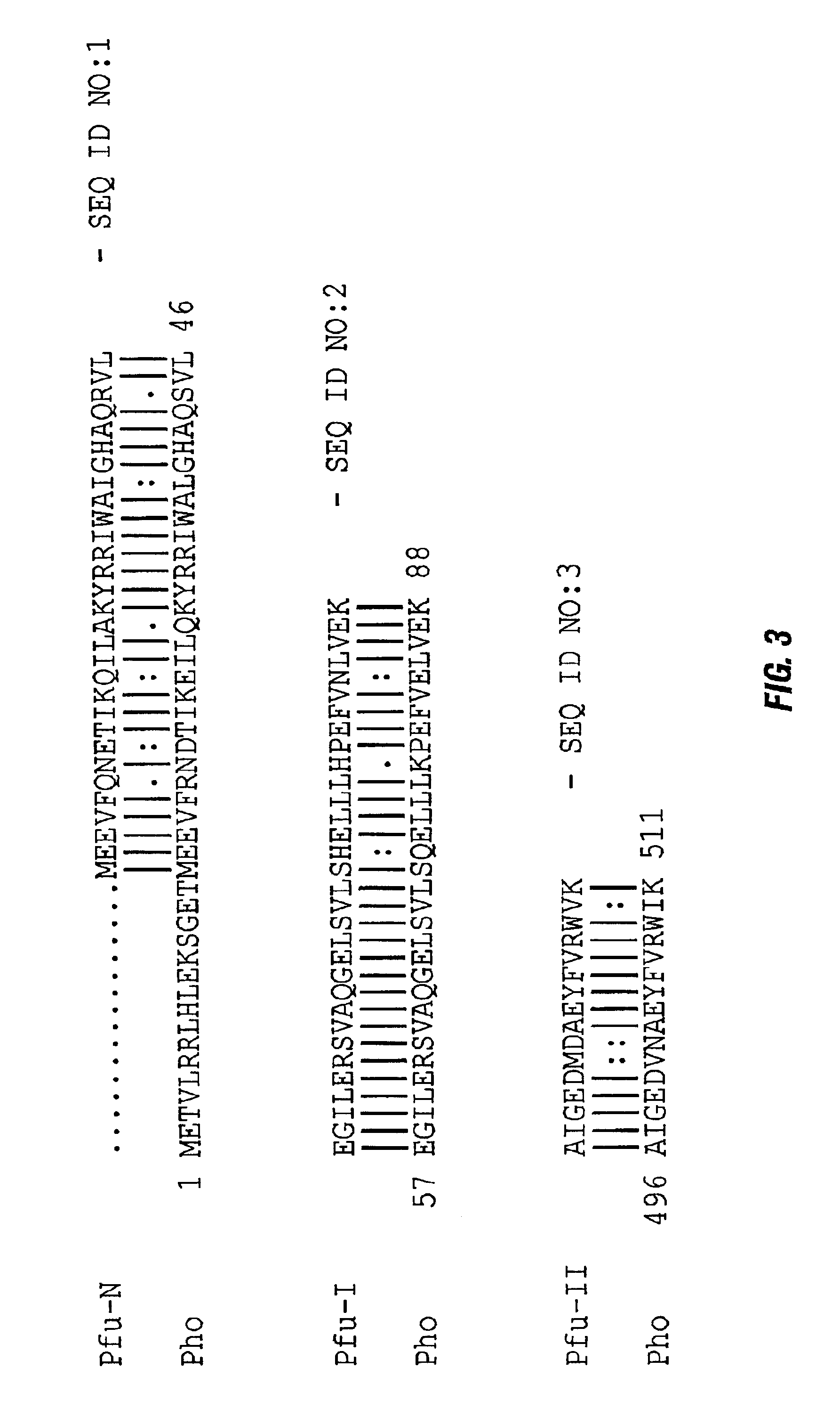 Thermostable peptidase