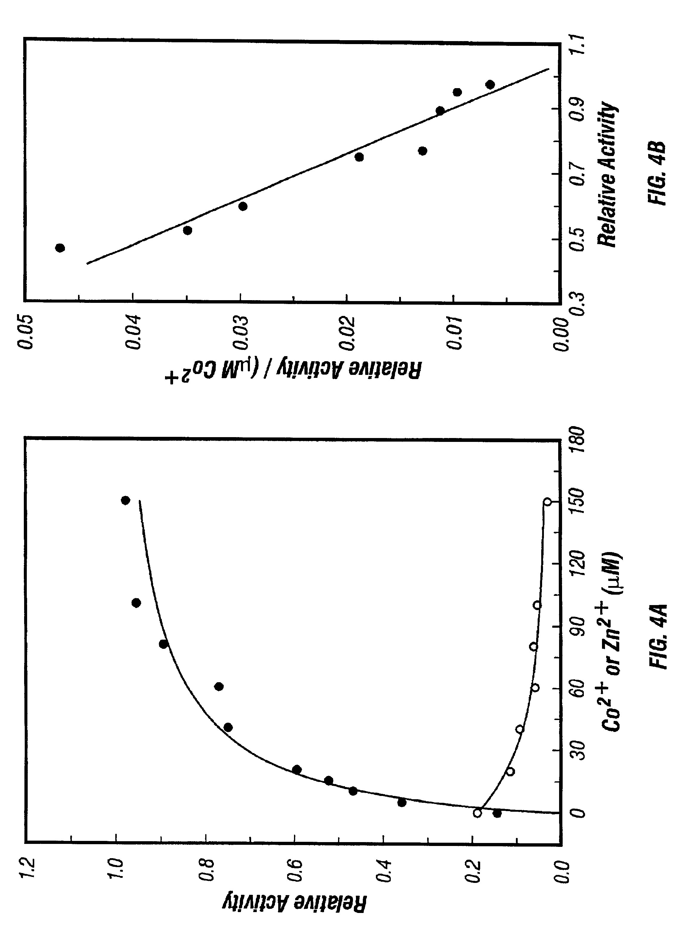 Thermostable peptidase