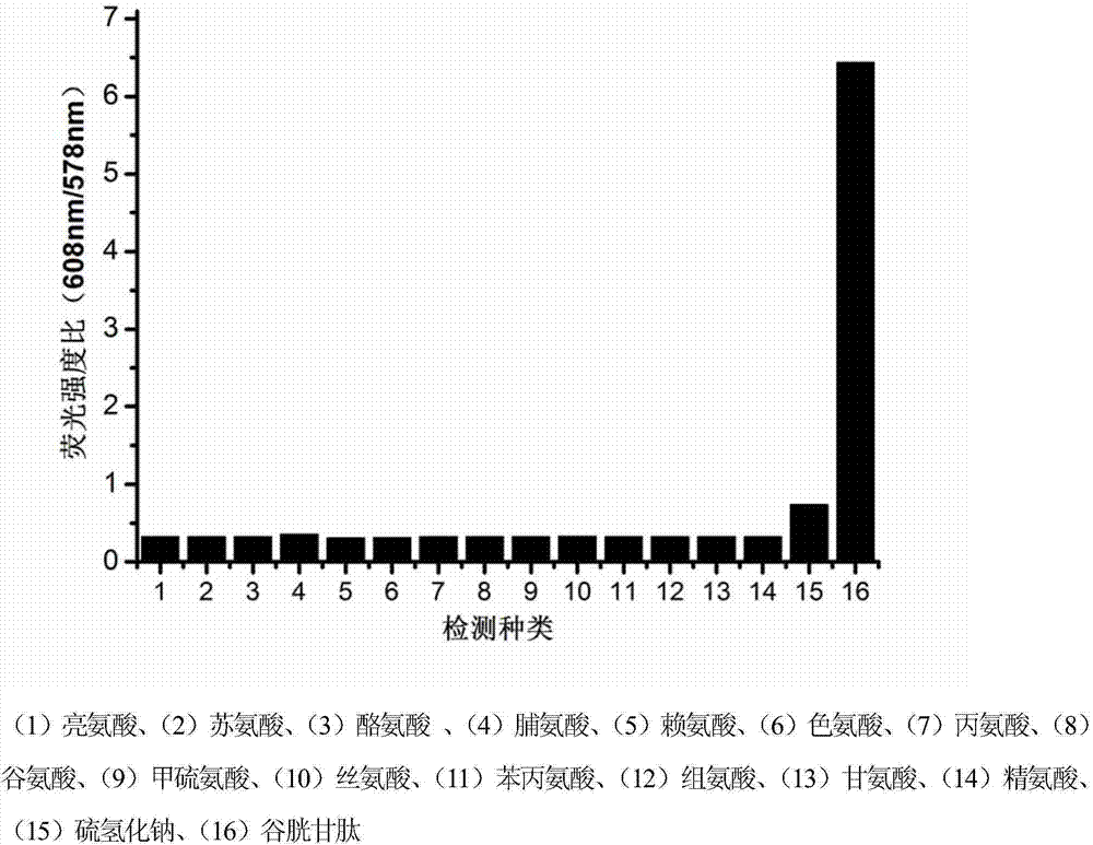 Novel fluorescent dye capable of multifunctionalization, and preparation method and application thereof