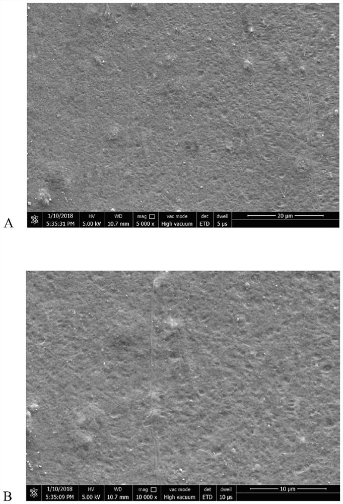 A pbat/modified starch fully biodegradable film with both high ductility and high barrier properties and its preparation method and application