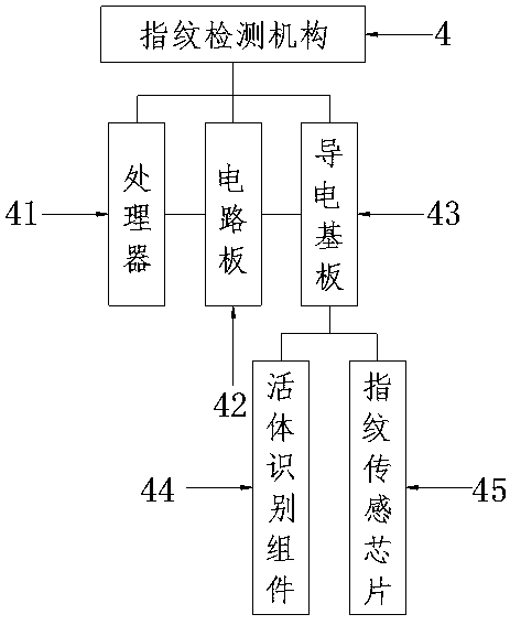 Biological characteristic data detection device