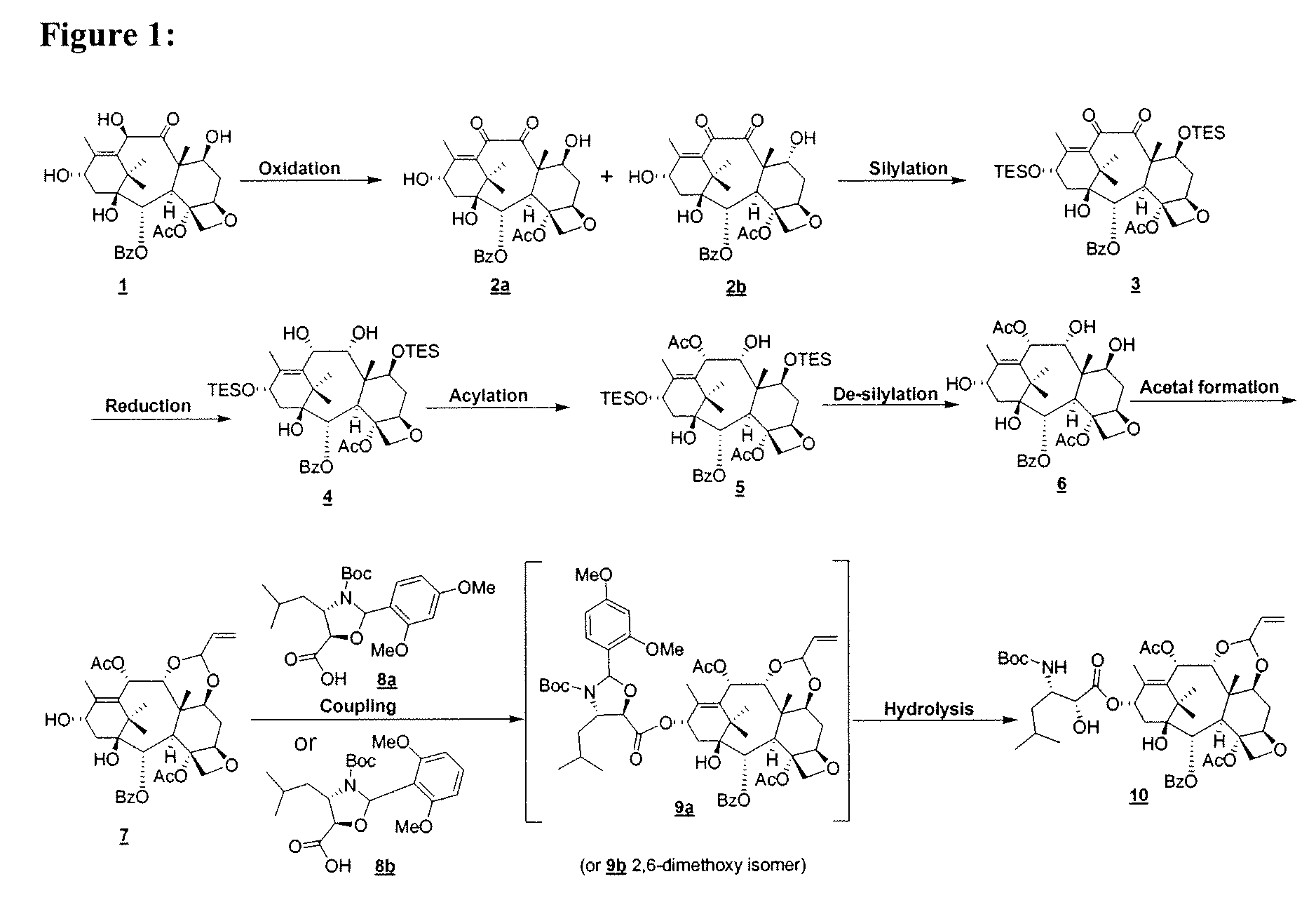 Convergent Process for the Synthesis of Taxane Derivatives