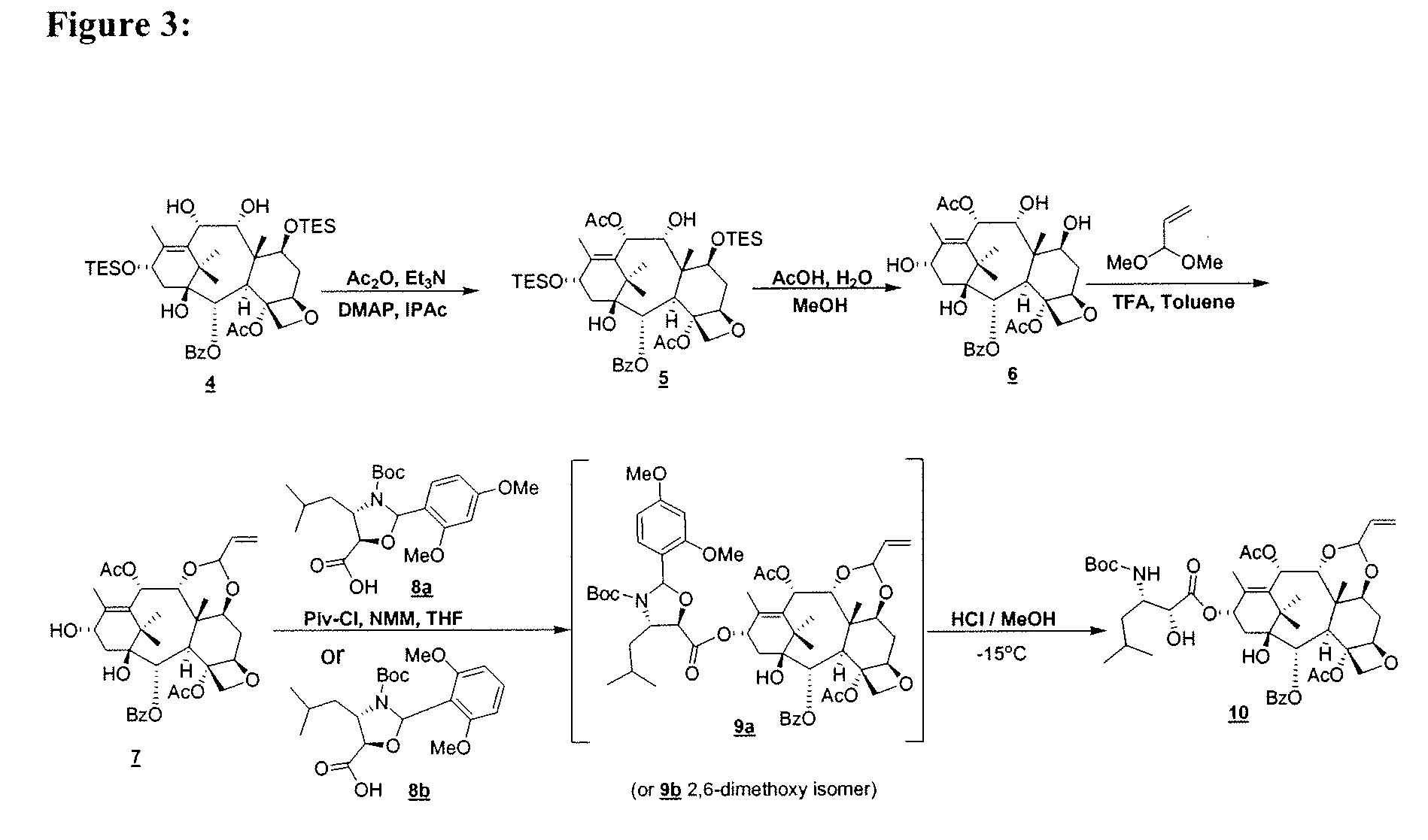 Convergent Process for the Synthesis of Taxane Derivatives