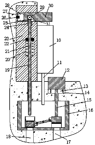 Agricultural organic fertilizer collecting device