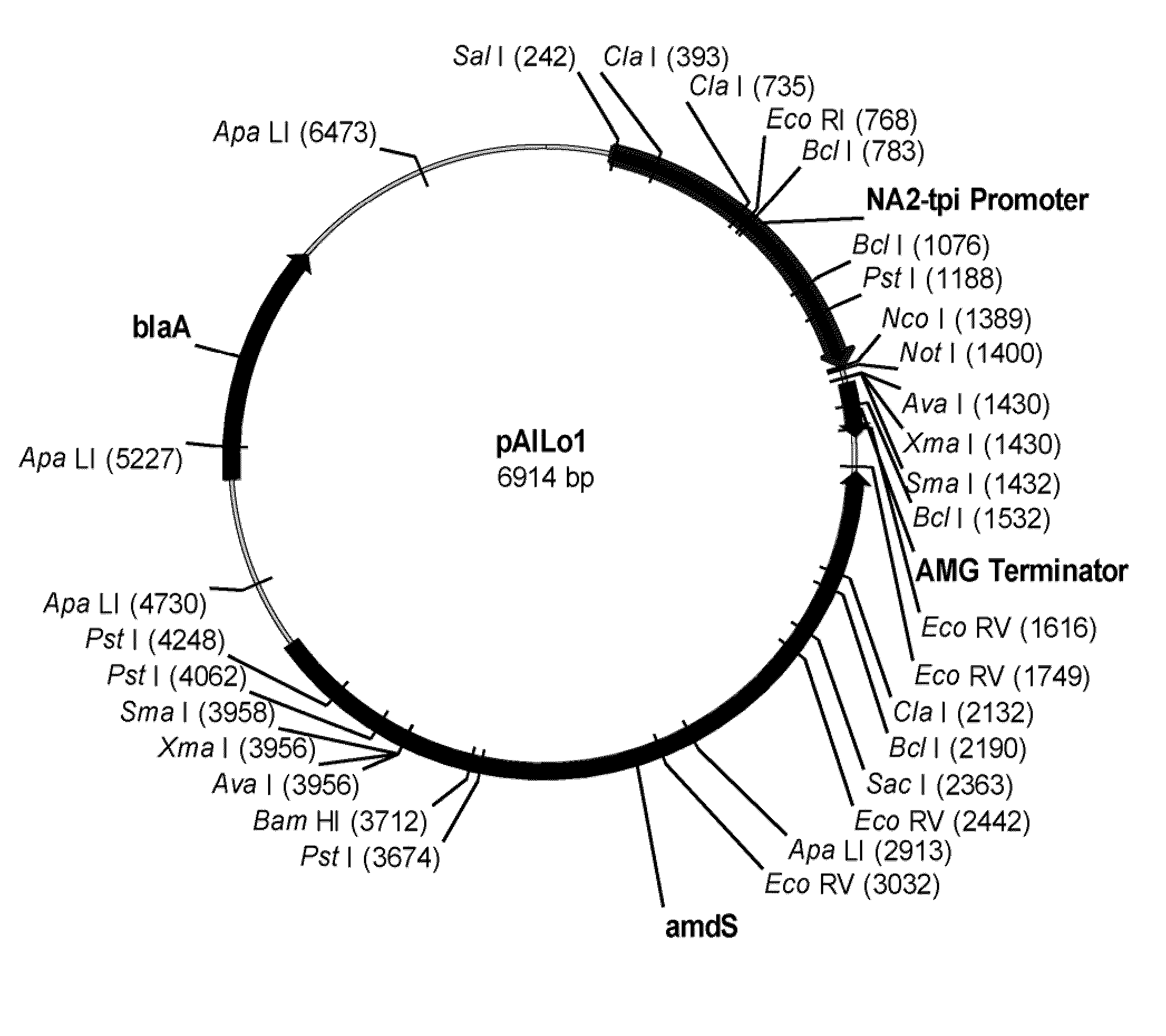 Methods for degrading or converting plant cell wall polysaccharides