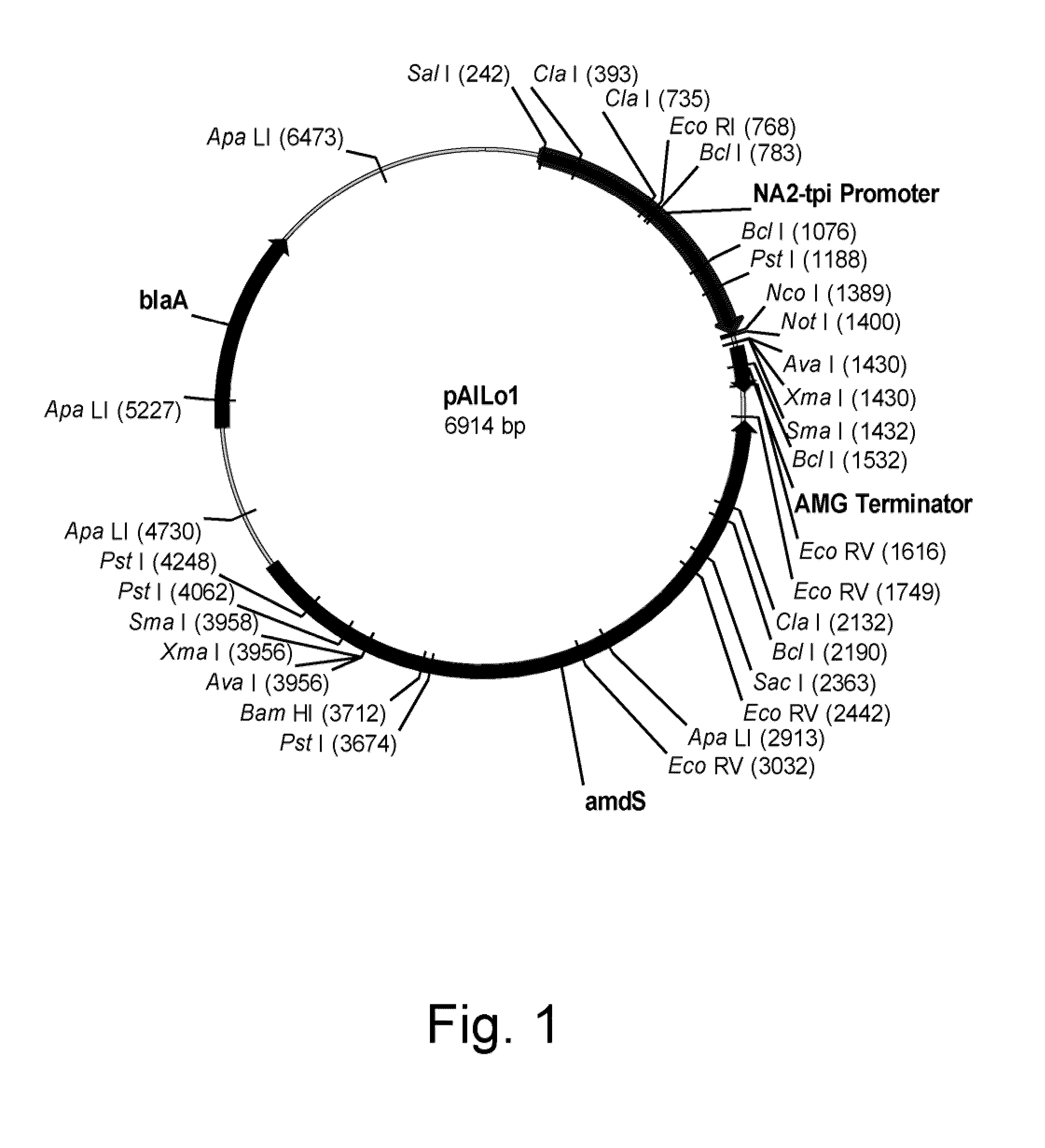 Methods for degrading or converting plant cell wall polysaccharides