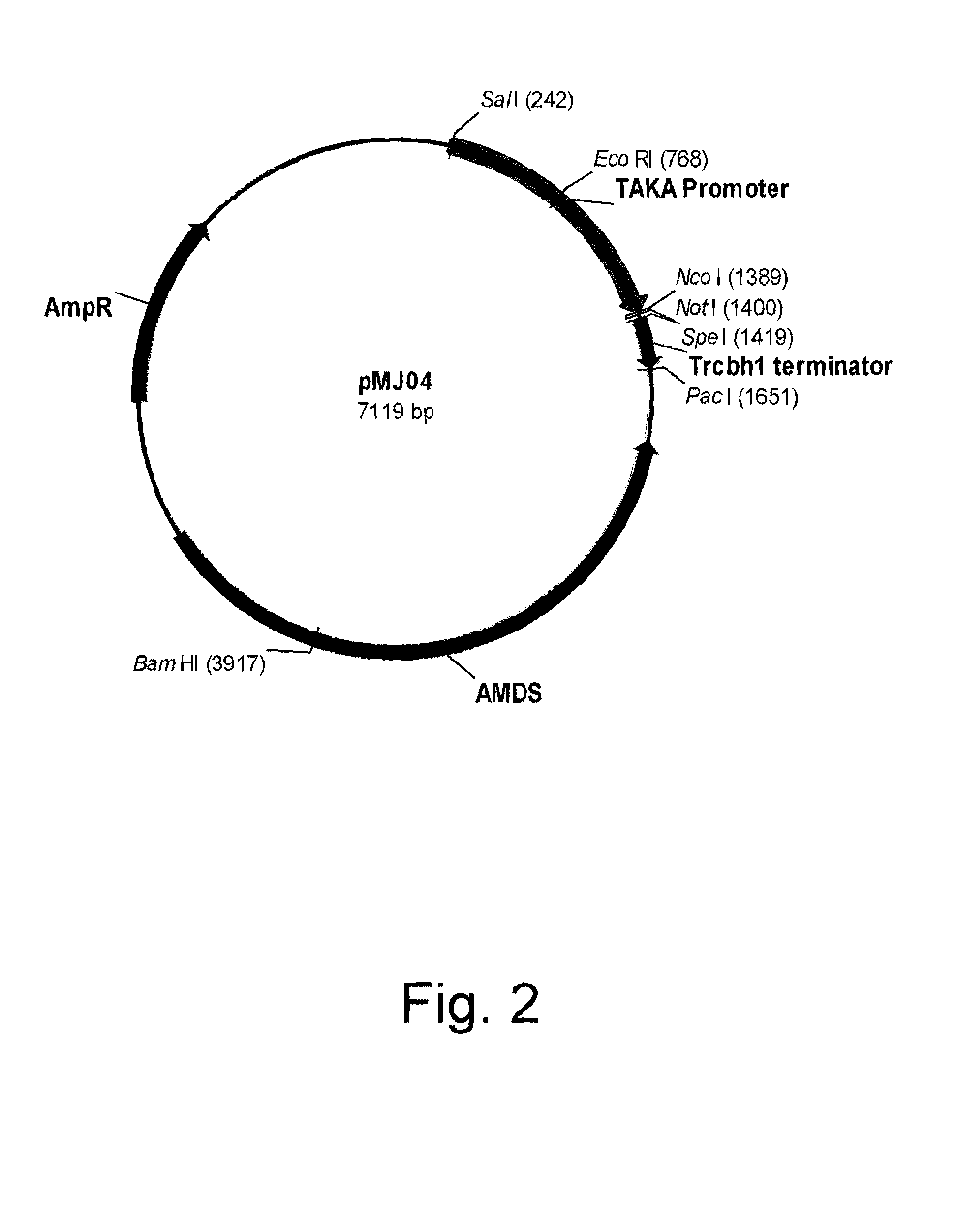 Methods for degrading or converting plant cell wall polysaccharides