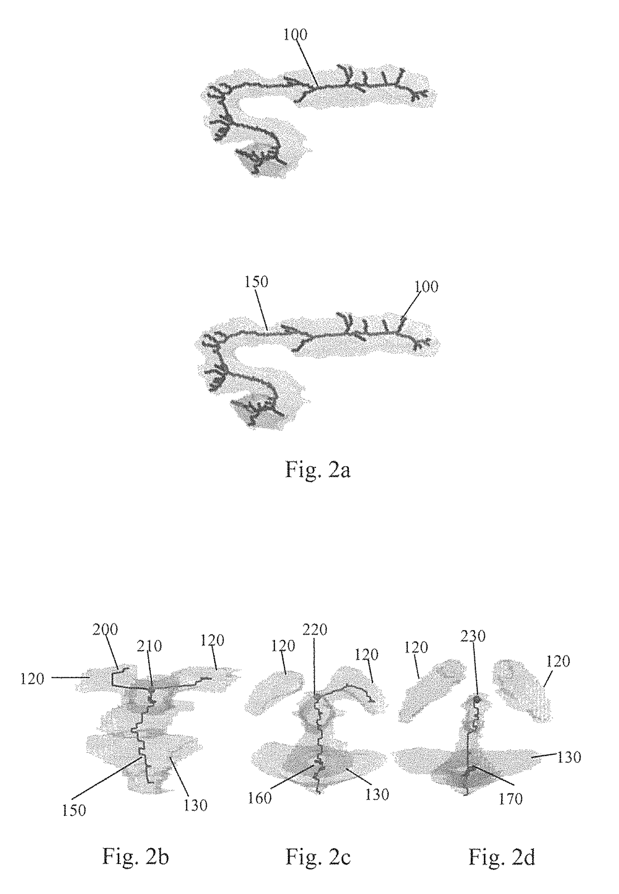 Method for gestational age estimation and embryonic mutant detection