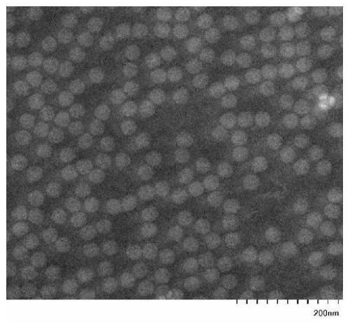 Preparation method of pig-source single-chain genetic engineering antibody against foot-and-mouth disease viruses