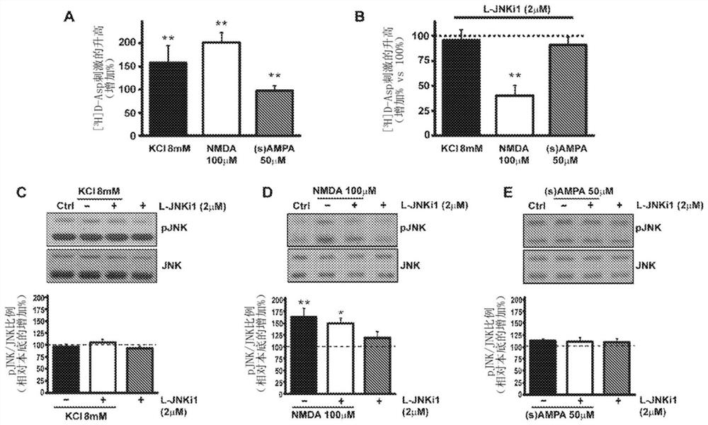 A cell-permeable peptide system for the treatment of diseases caused by glutamate excitotoxicity