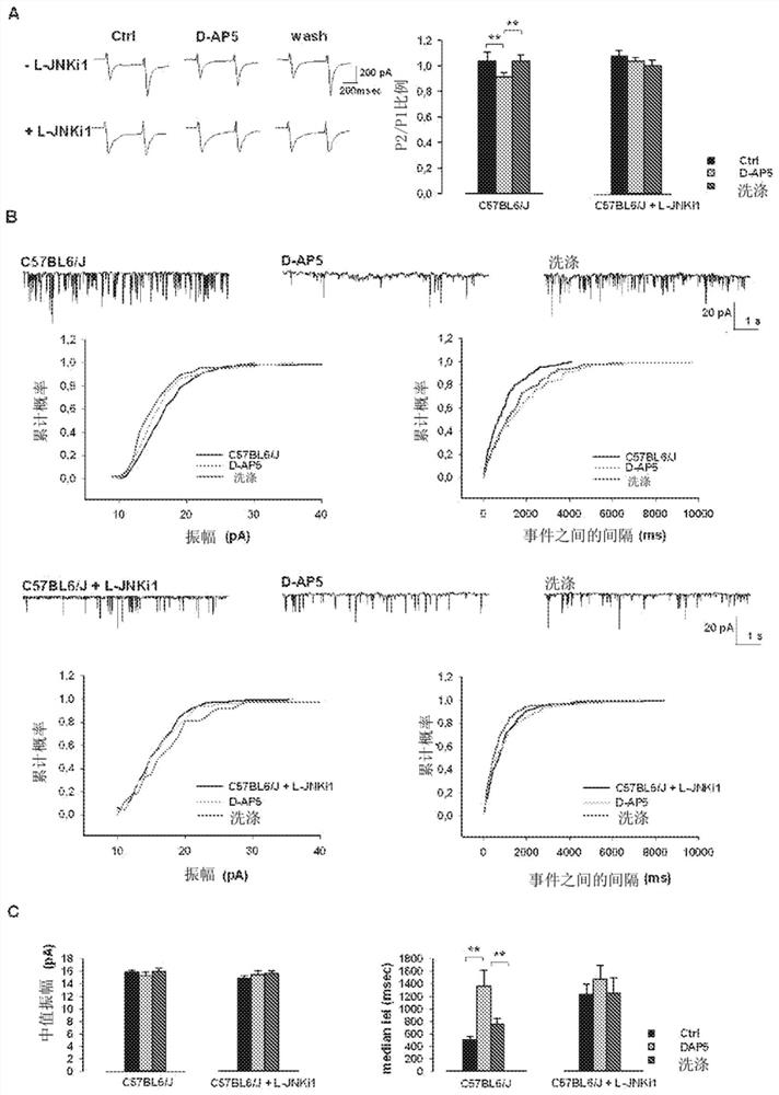 A cell-permeable peptide system for the treatment of diseases caused by glutamate excitotoxicity