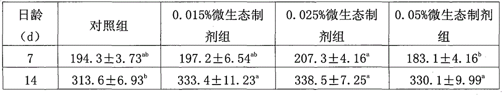 Compound bacterial agent for broiler chickens and its application in improving production performance and immune performance of broilers