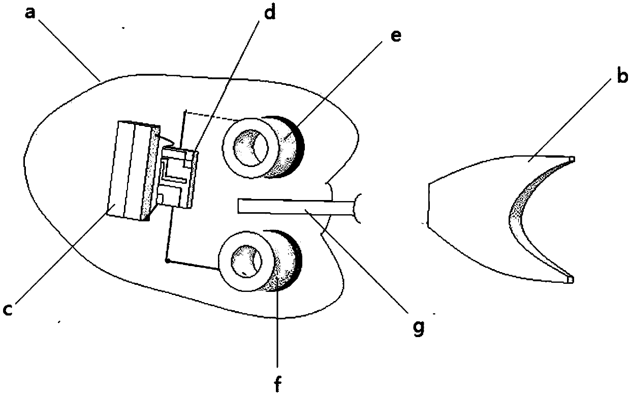 Device and method for measuring pressure field generated by fishtailing of bionic fish