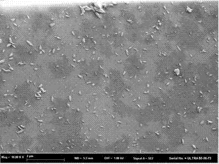 Preparation method of nanometer zinc oxide-bamboo charcoal composite particle with antibacterial and adsorption functions