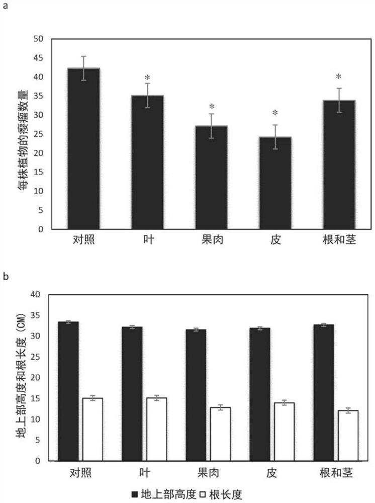 Plant extract for controlling parasitic nematodes