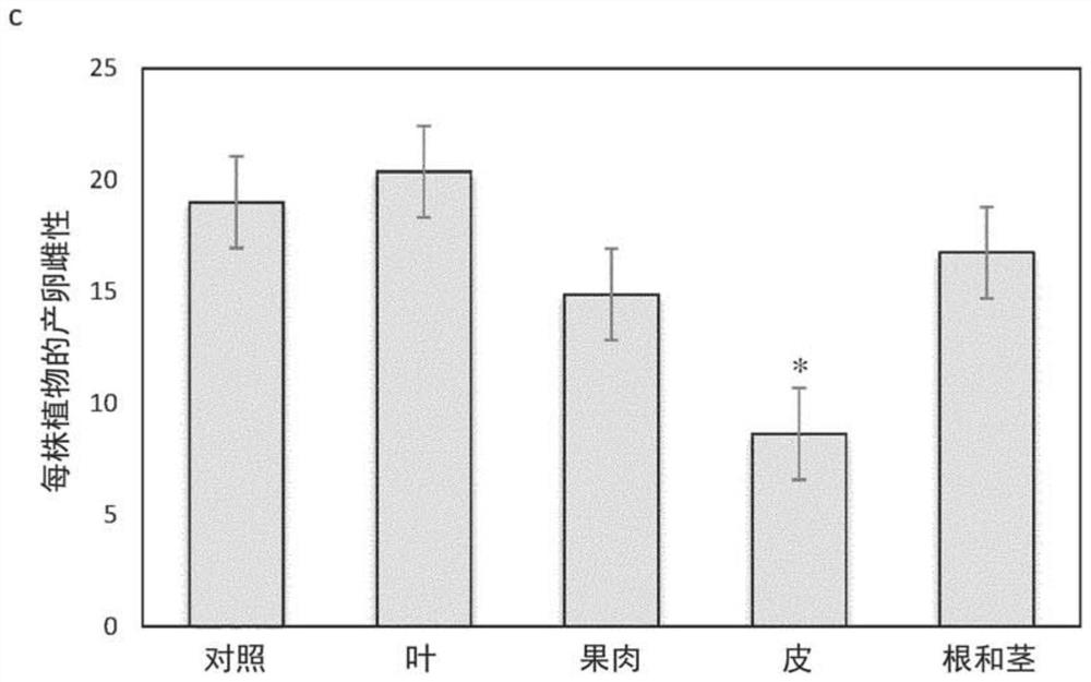 Plant extract for controlling parasitic nematodes