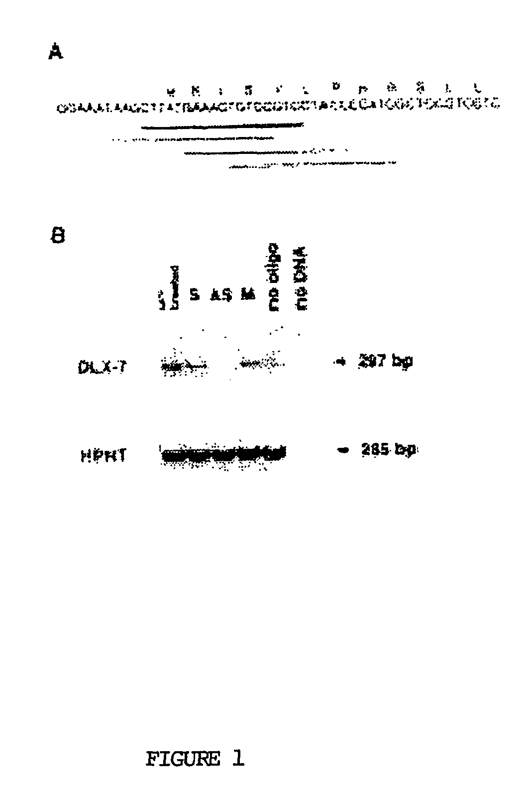 Facile detection of polycythemia vera