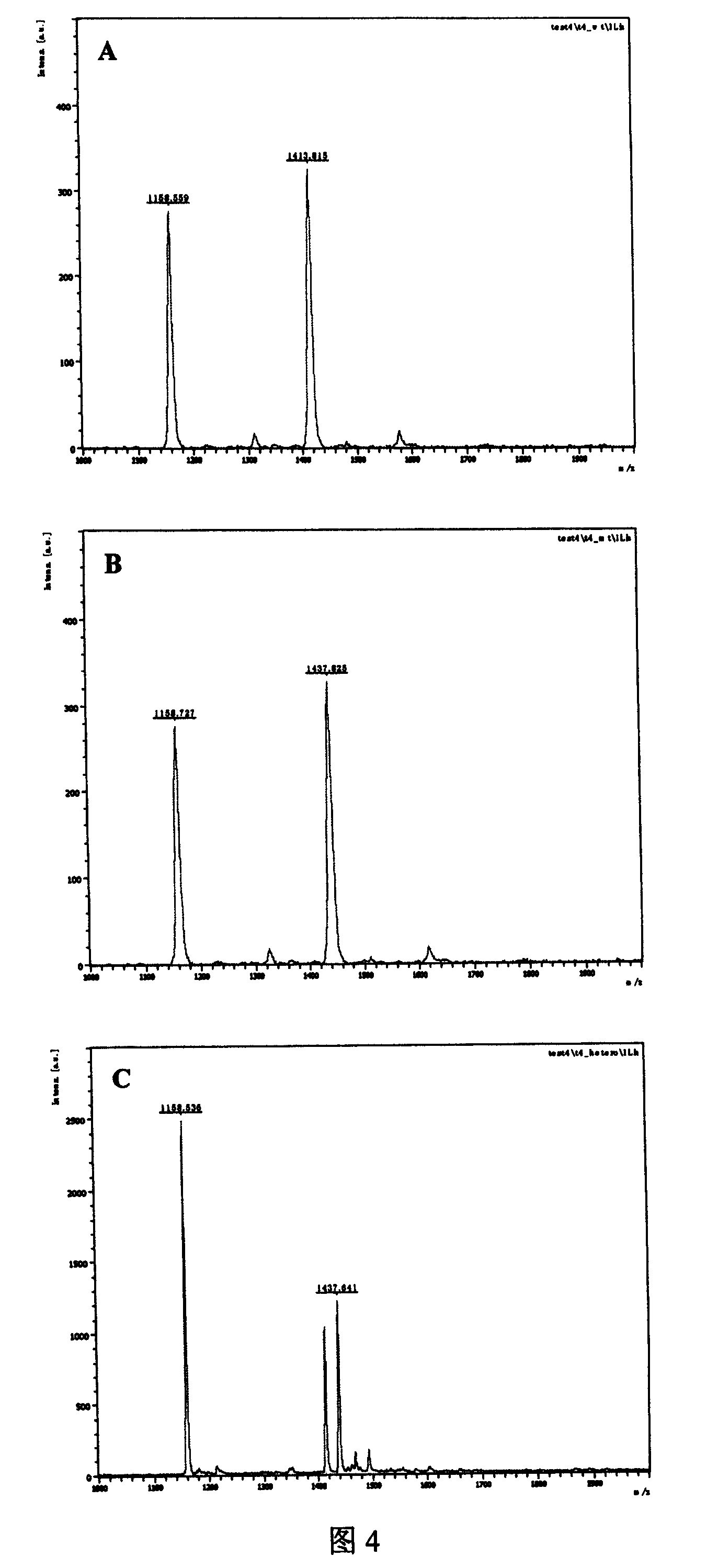 Method for testing SNP using restriction enzymes double zyme cutting