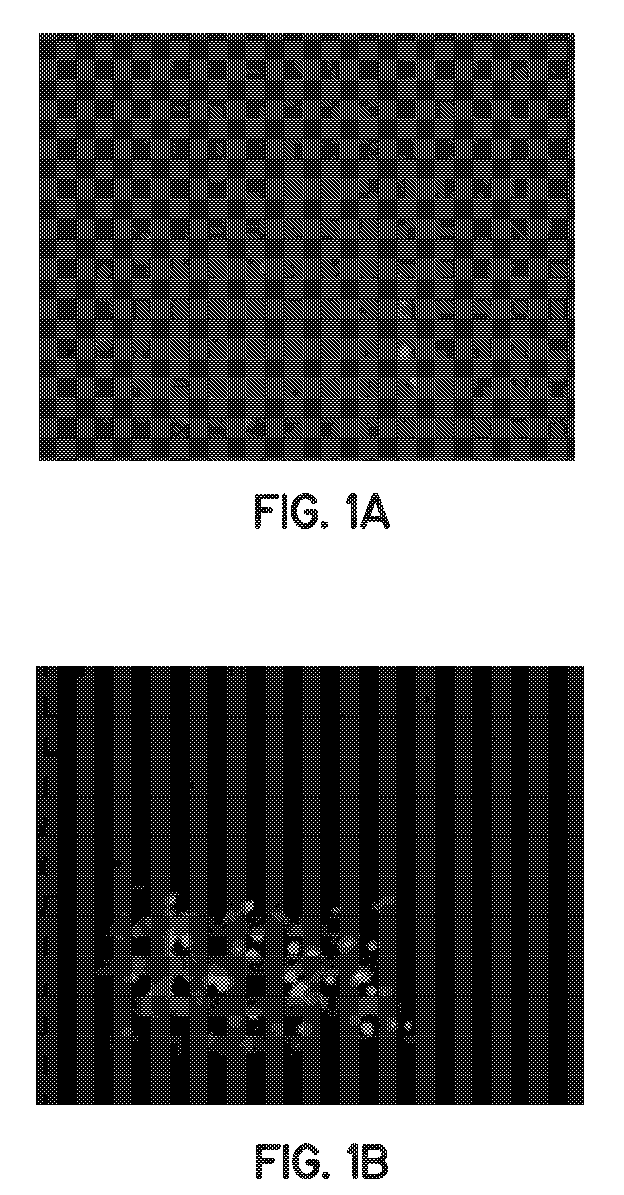 Method of obtaining viable small tissue particles and use for tissue repair