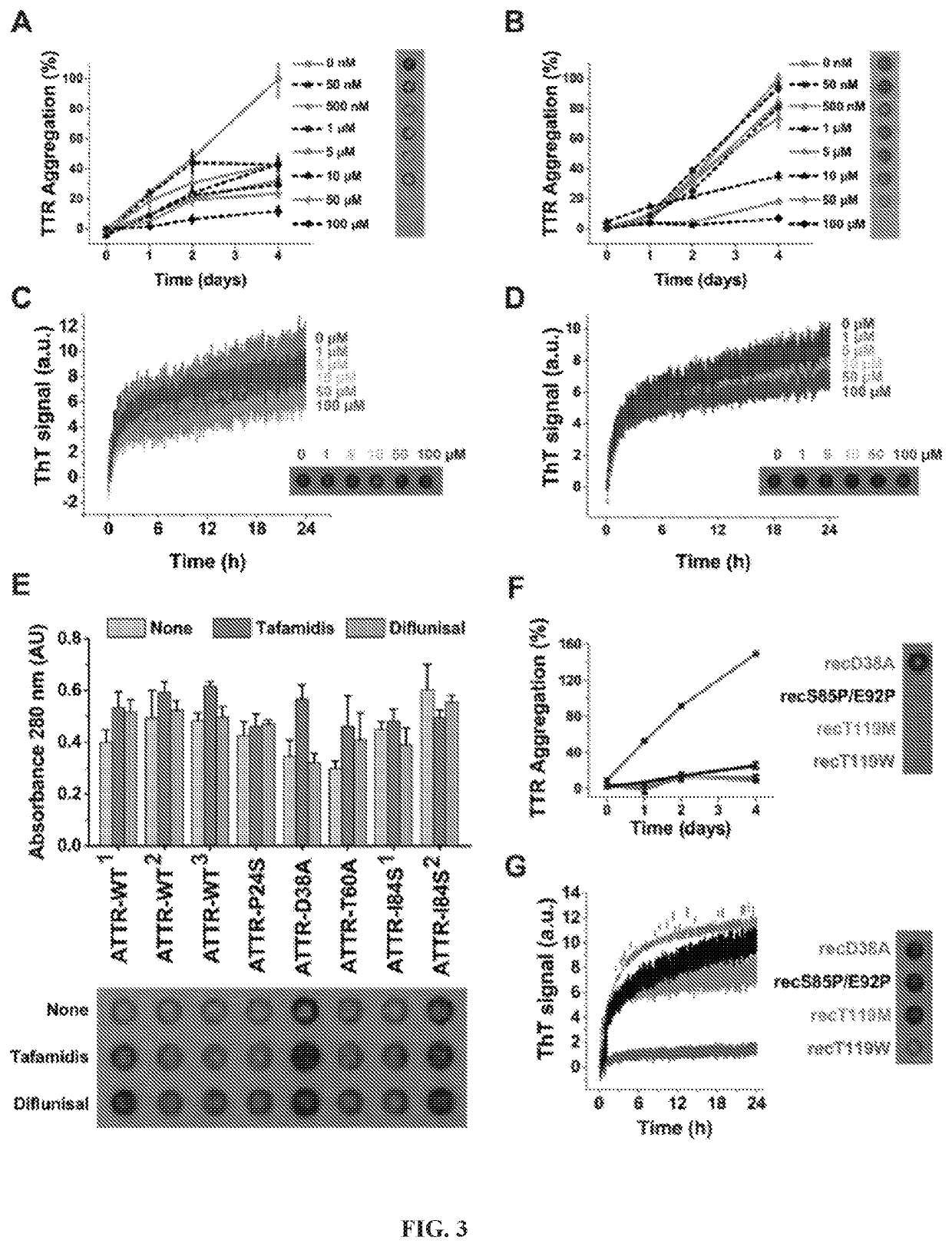 Inhibition of the aggregation of transthyretin by specific binding of peptides to aggregation-driving segments