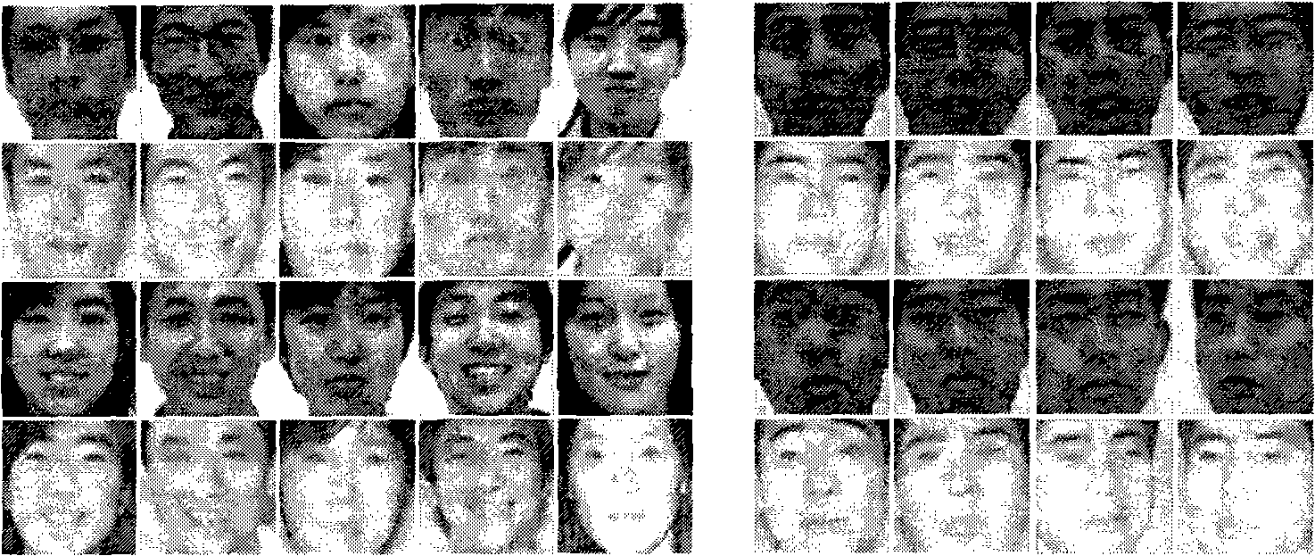 Human face recognition method based on visible light and near-infrared Gabor information amalgamation