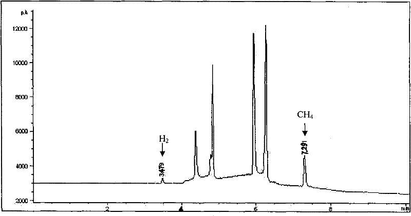 Marine tracer gas h2/ch4/co2/h2s multidimensional chromatographic analysis method and system