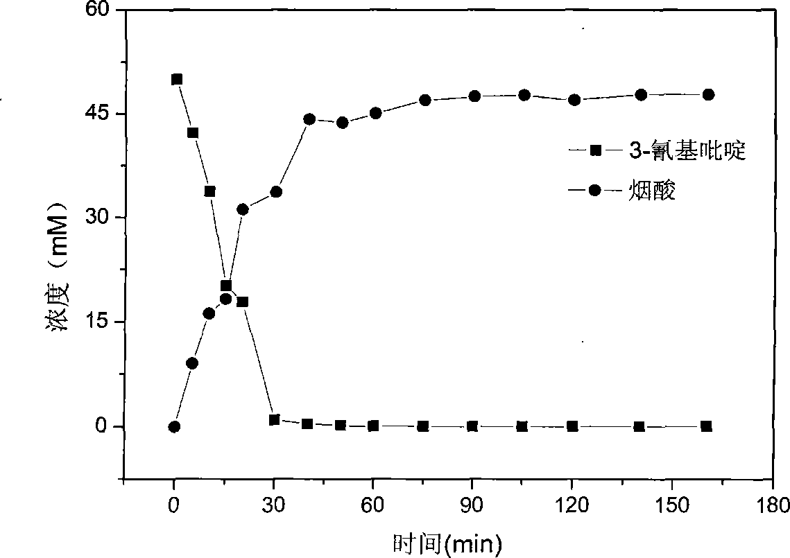Method for converting 3-cyanopyridine into nicotinic acid by using gibberella intermedia CA3-1