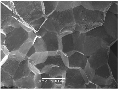A method of obtaining intergranular fracture in austenitic steel and its application